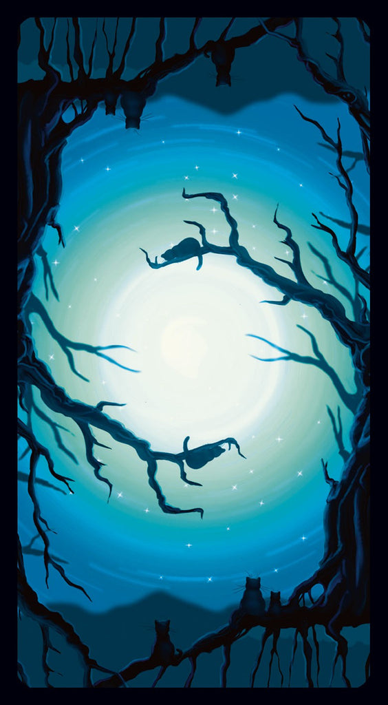 Black Cats Tarot