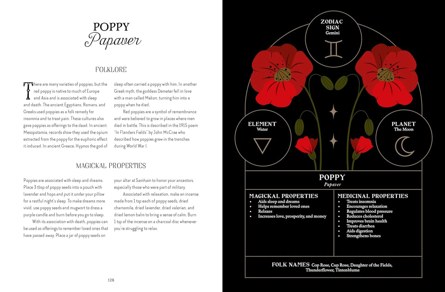 Illustration of poppies with zodiac sign and astrological elements on a black background