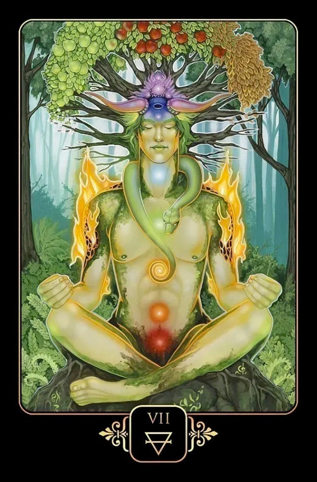 Dreams of Gaia deck & book by Ravynne Phelan