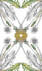 Hedgewitch Botanical oracle by Siolo Thompson