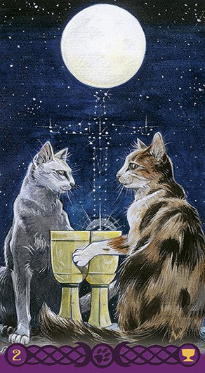 Tarot of Pagan Cats