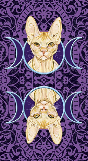 Tarot of Pagan Cats