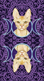 Tarot of Pagan Cats
