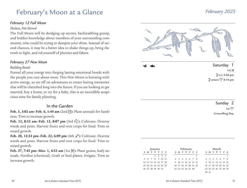 Llewellyn's 2025 Moon Sign Datebook