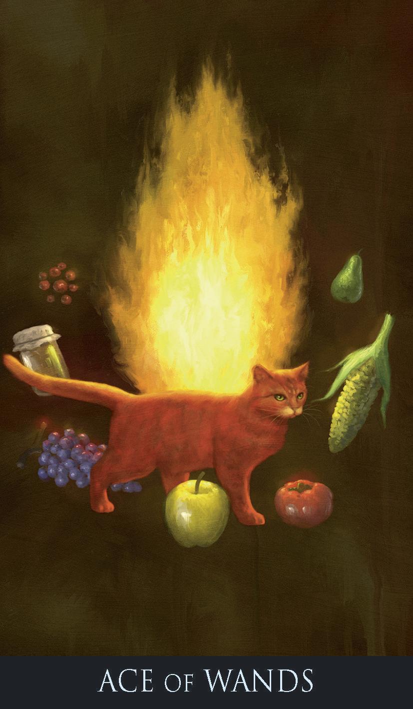 Tarot card featuring a cat with flames, surrounded by fruits and vegetables on a dark background.