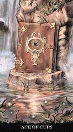 Illustration of a book with an eye design on a natural background, labeled 'Ace of Cups'.