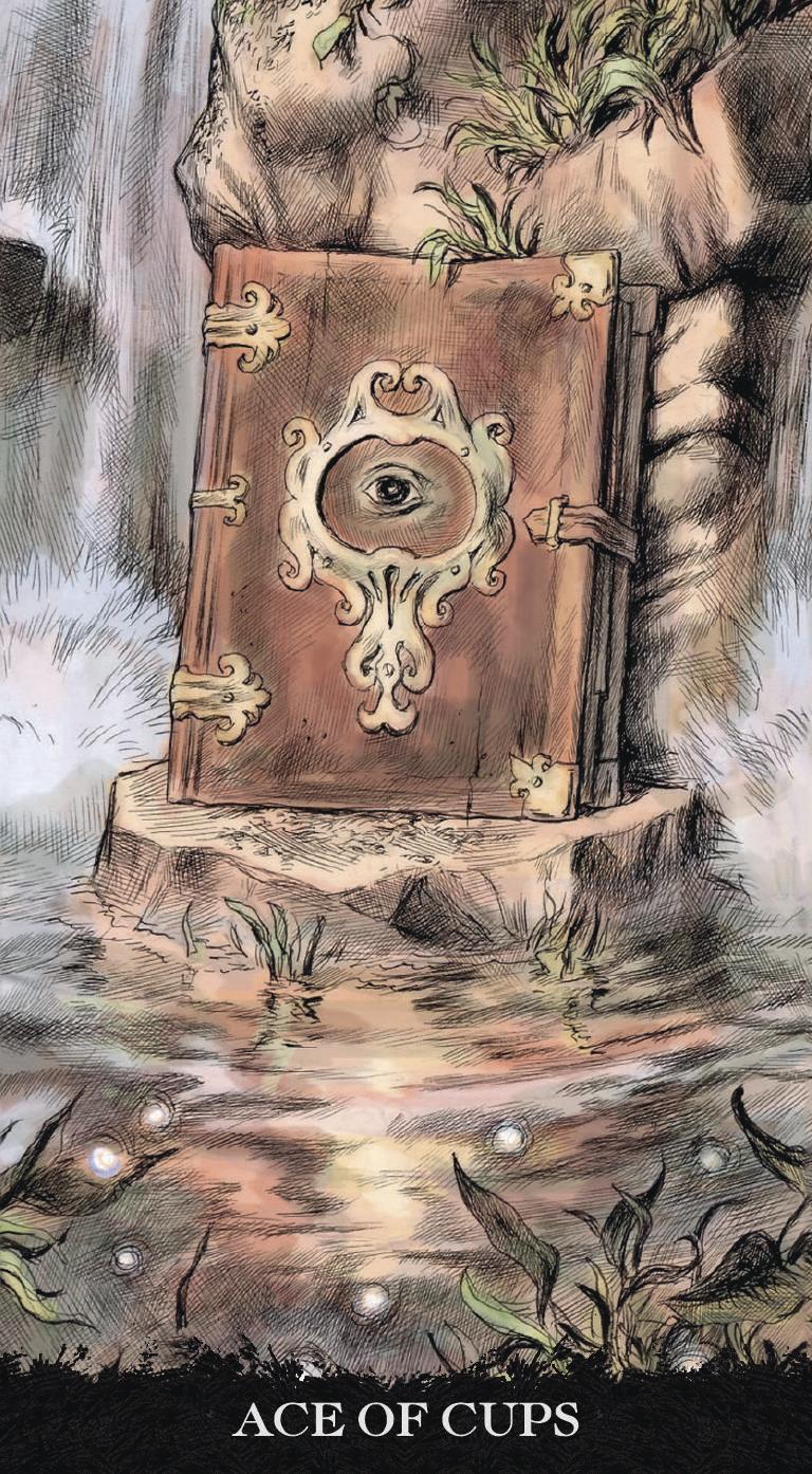 Illustration of a book with an eye design on a natural background, labeled 'Ace of Cups'.