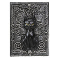 Magickal Black Cat Tarot Box
