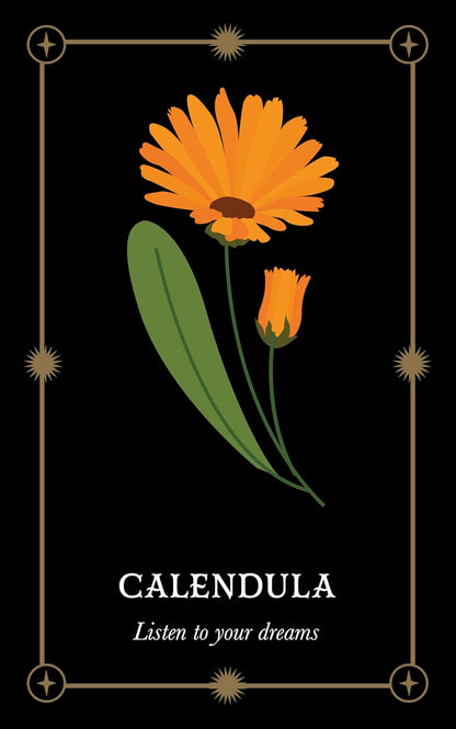 Calendula flower illustration with leaves on a black background, featuring the text 'Calendula' and 'Listen to your dreams'.