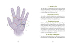 Left page shows a color‑coded palm with numbered lines. Right page explains features including the Sun Line, Girdle of Venus, Ring of Solomon, and Ring of Sympathy.