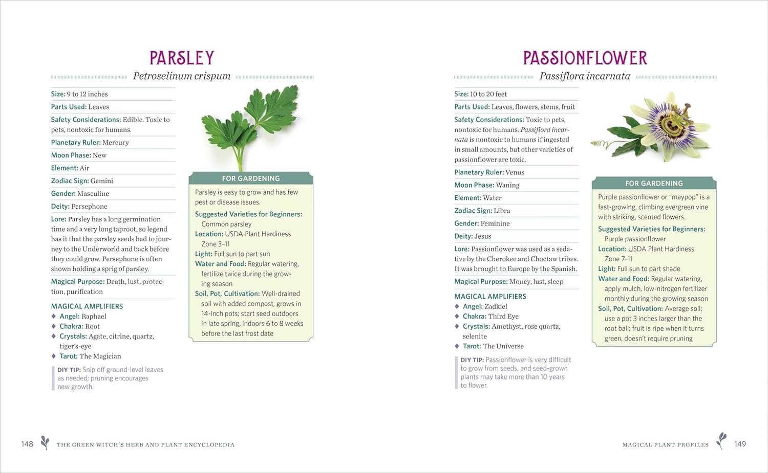 Green Witch's Herb & Plant Encyclopedia