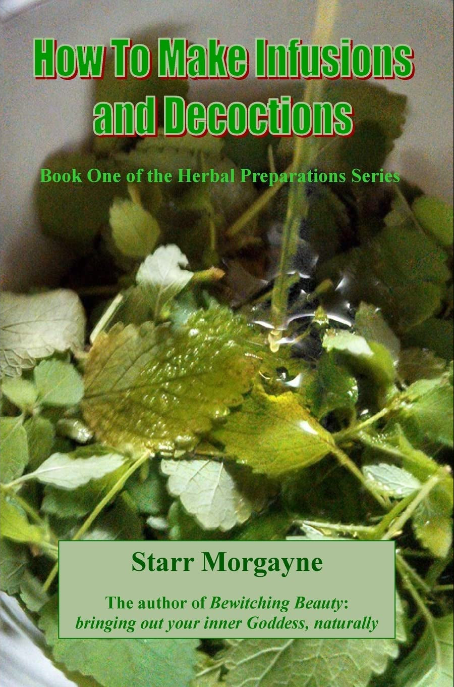 Book cover of 'How To Make Infusions and Decoctions' by Starr Morgayne with green leaves.
