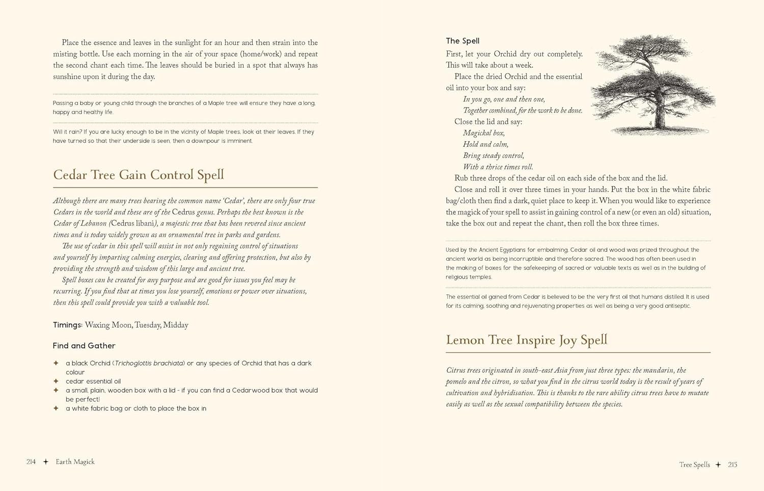 Magical spellbook page with text and a tree illustration on a white background