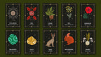 Set of tarot cards with various symbols and names on a dark background
