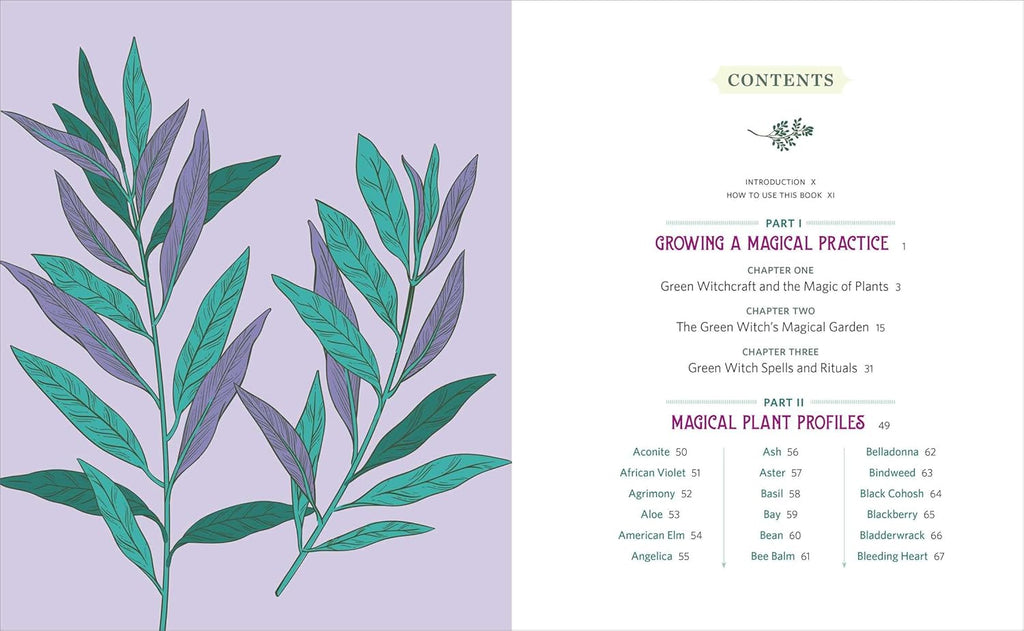 Green Witch's Herb & Plant Encyclopedia