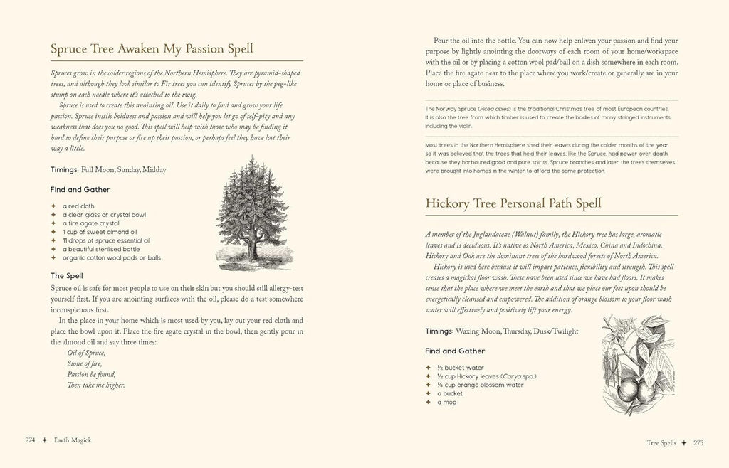 Magical spellbook page with text and illustrations of a spruce tree and a dragon.