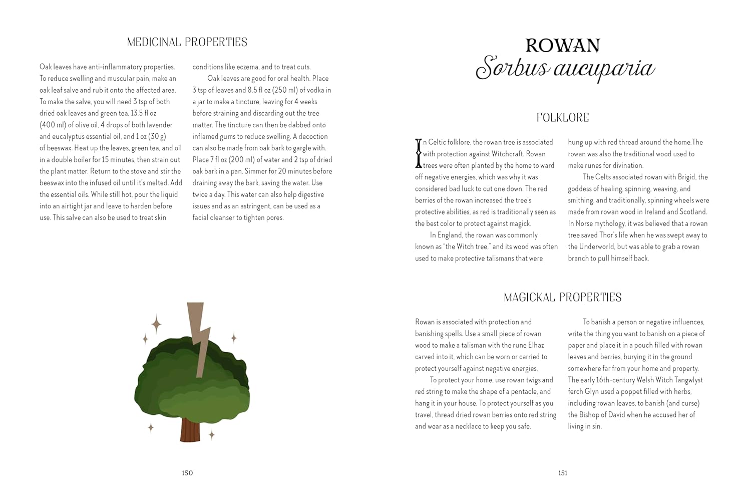 Book page with information about Rowan tree, including medicinal and magical properties.
