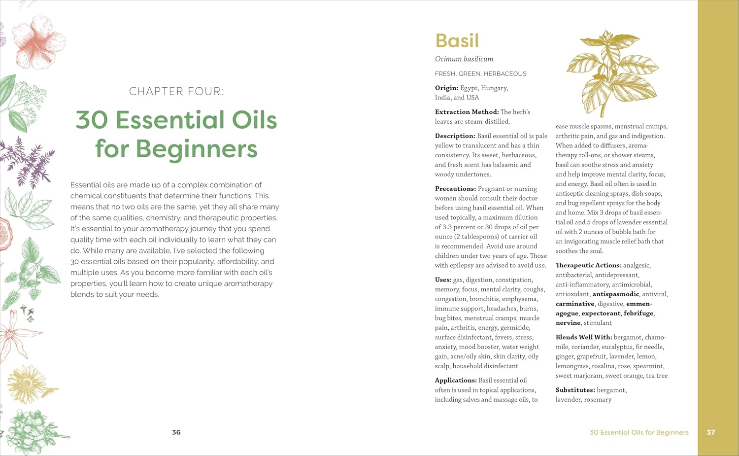 Beginner's Guide to Essential Oils