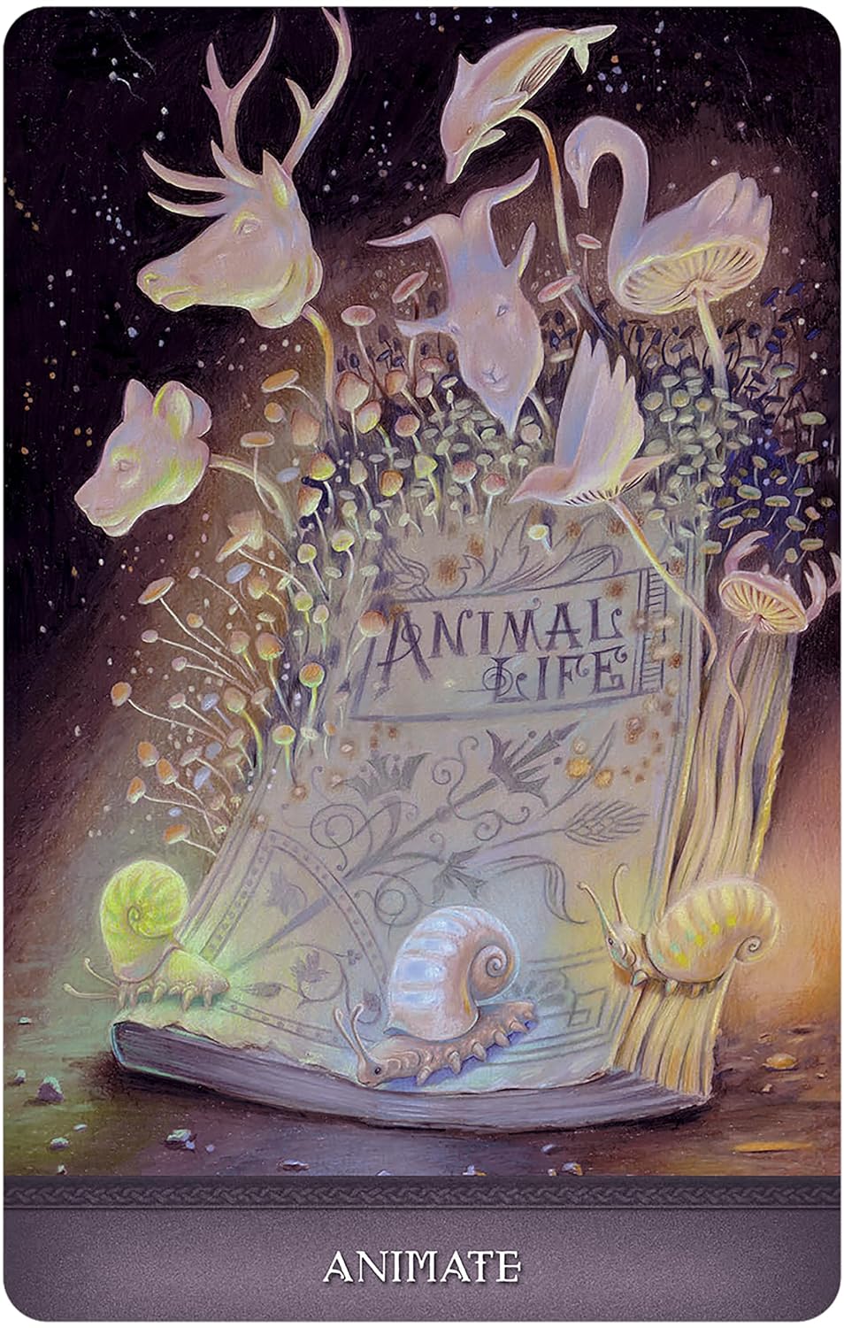 Illustration of a book titled 'Animal Life' with animated animal heads and plants on a dark background.