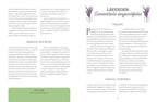 Book page about lavender with text and illustrations on a white background
