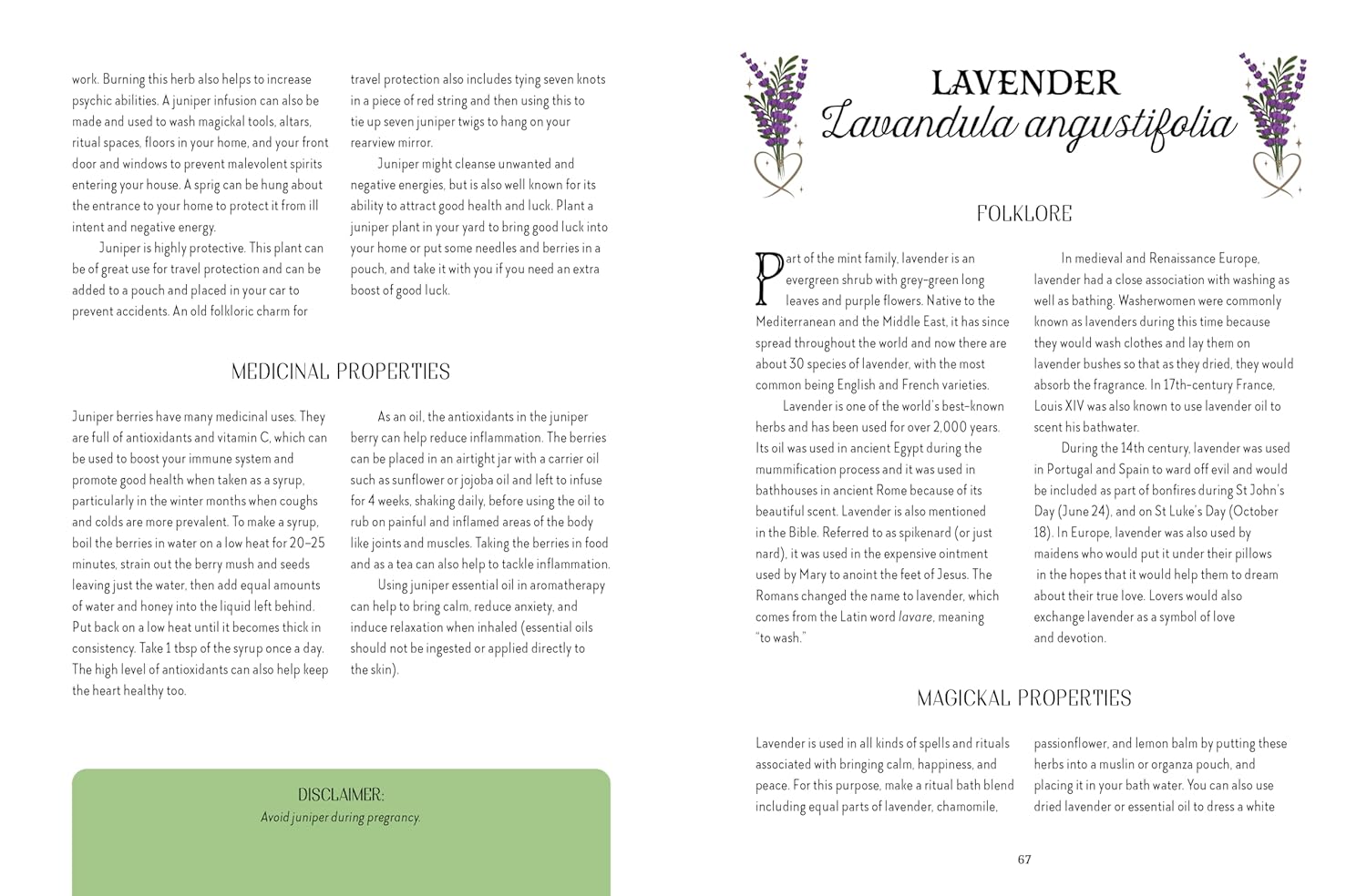 Book page about lavender with text and illustrations on a white background
