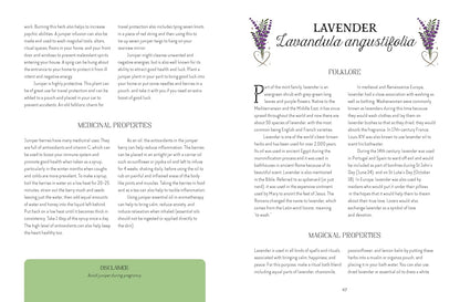 Book page about lavender with text and illustrations on a white background