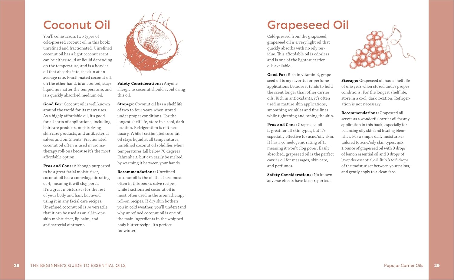 Beginner's Guide to Essential Oils