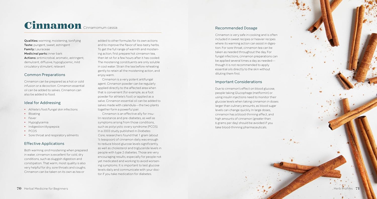 Herbal Medicine for Beginners