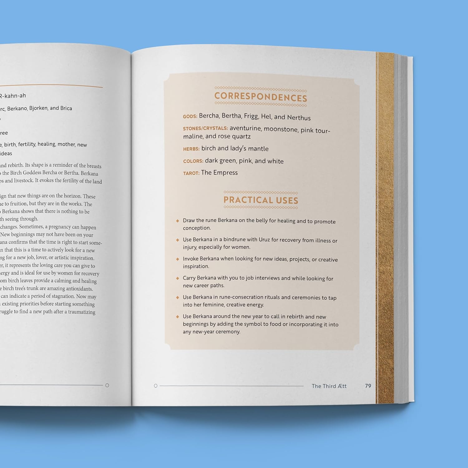 Complete Guide to Rune