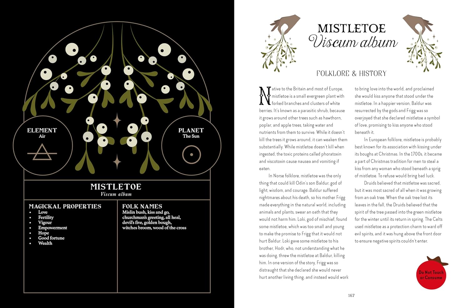 Book page with mistletoe illustration and information on a black background