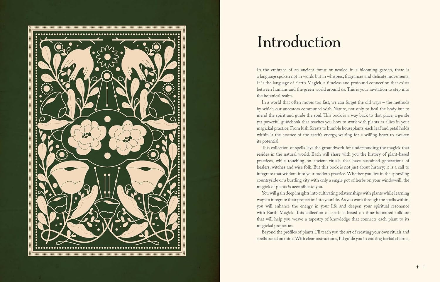 Book open to an introduction page with decorative cover design on a green background