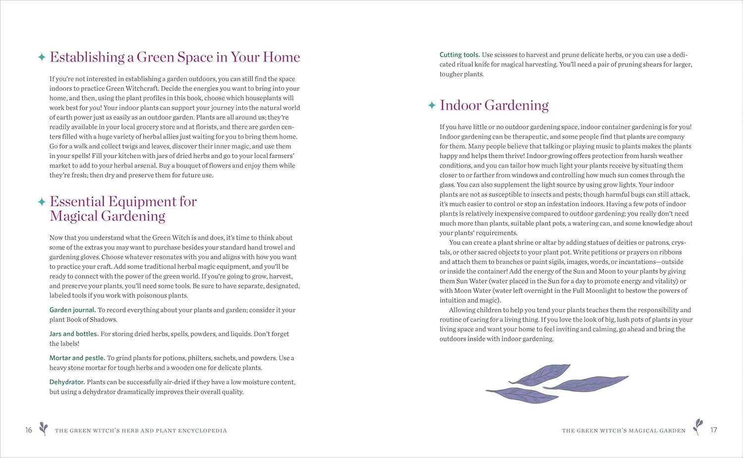 Green Witch's Herb & Plant Encyclopedia