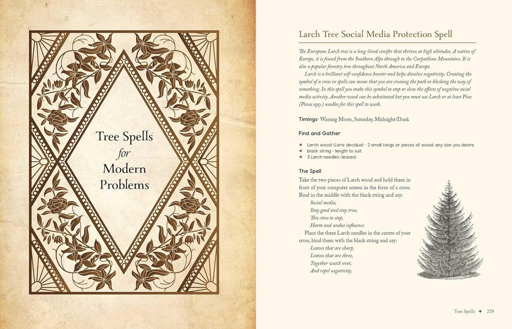 Magical spellbook page with tree spells for modern problems and a larch tree illustration.