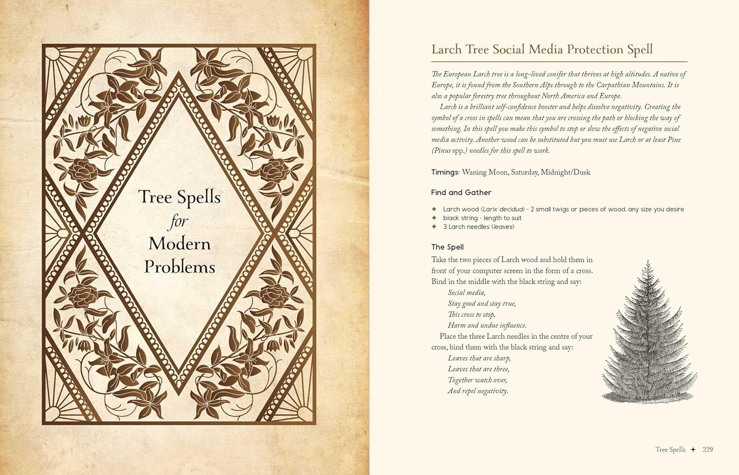 Magical spellbook page with tree spells for modern problems and a larch tree illustration.