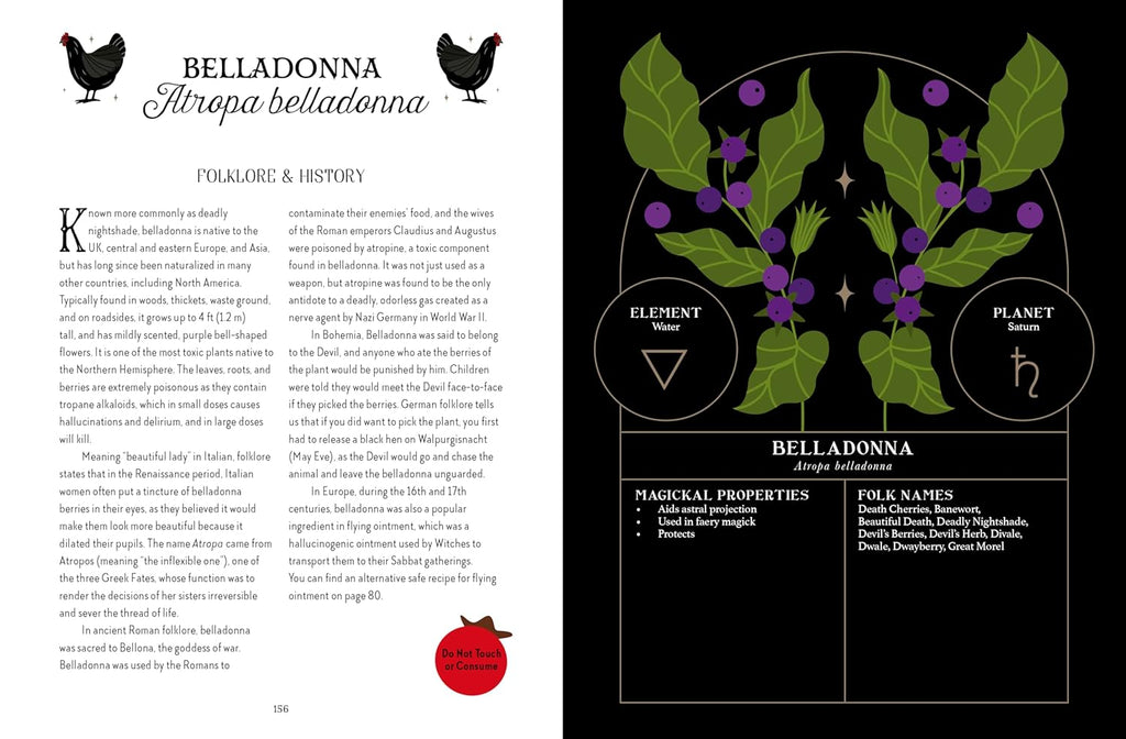 Book page with Belladonna plant illustration and text on a black background