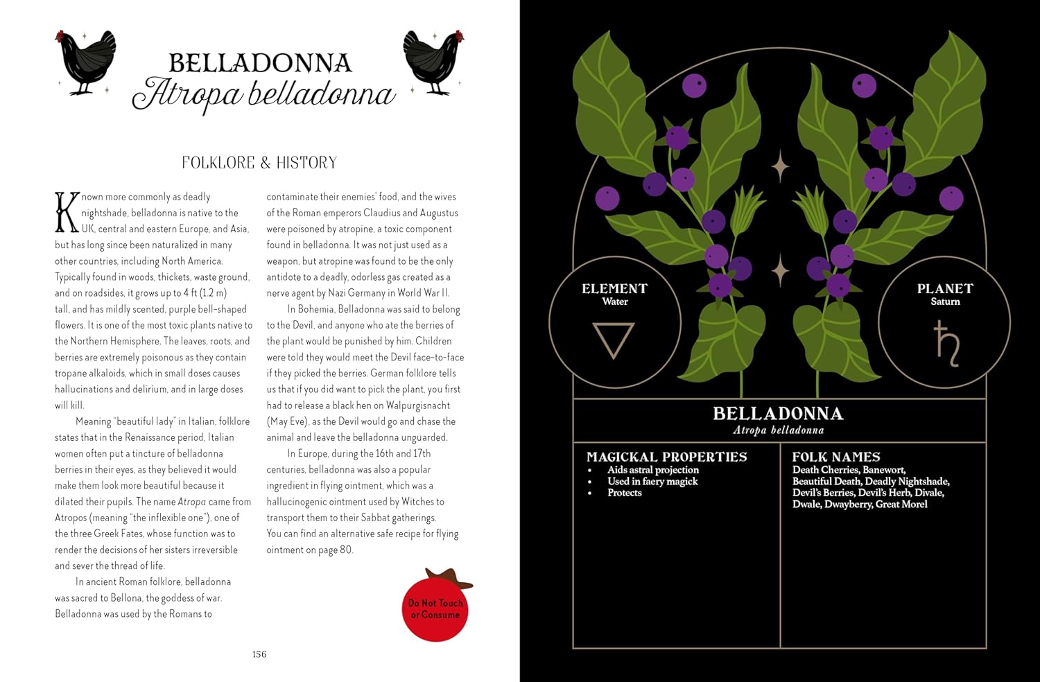 Book page with Belladonna plant illustration and text on a black background