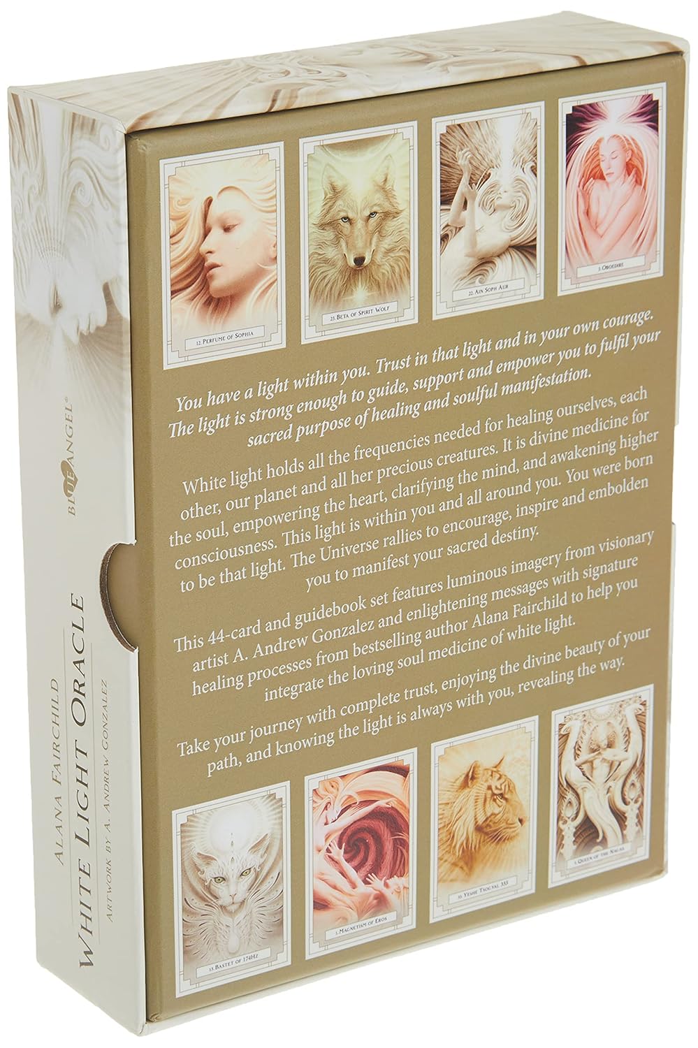 Card game box with images of animals and text on a beige background
