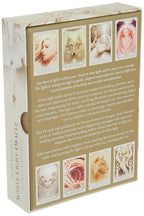 Card game box with images of animals and text on a beige background