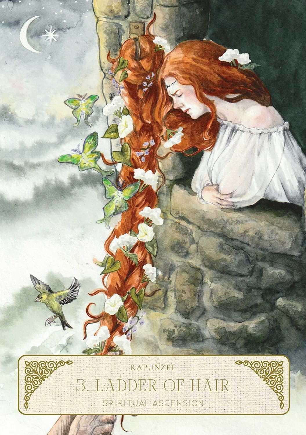 Illustration of a woman with long red hair on a stone wall with flowers and a bird, titled 'Ladder of Hair'.