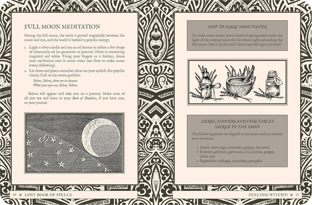 Magical book page with text and illustrations on full moon meditation and moon water preparation.