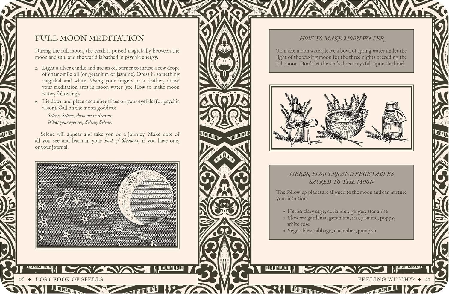 Magical book page with text and illustrations on full moon meditation and moon water preparation.