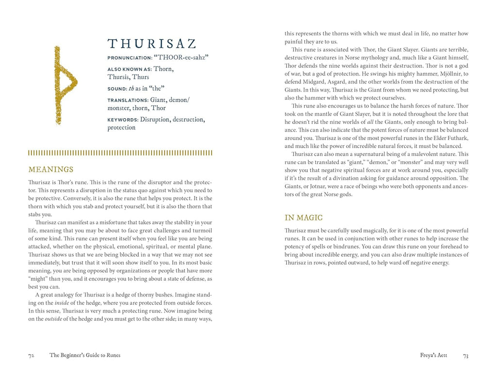 The Beginner's Guide to Runes