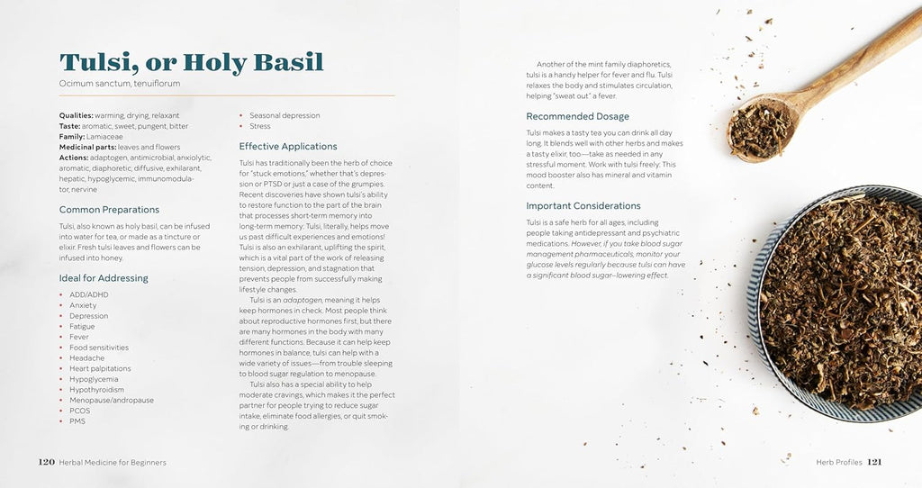 Herbal Medicine for Beginners