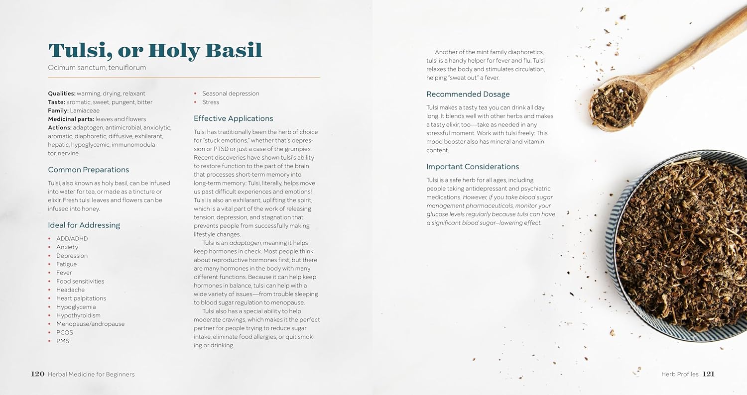 Herbal Medicine for Beginners