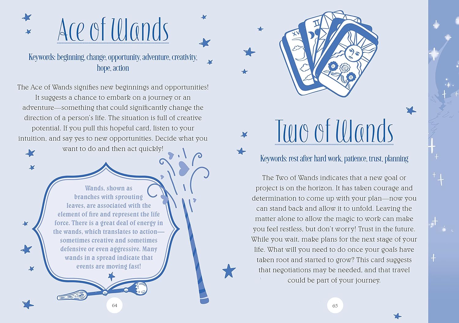 The Teen Witches' Guide to Tarot