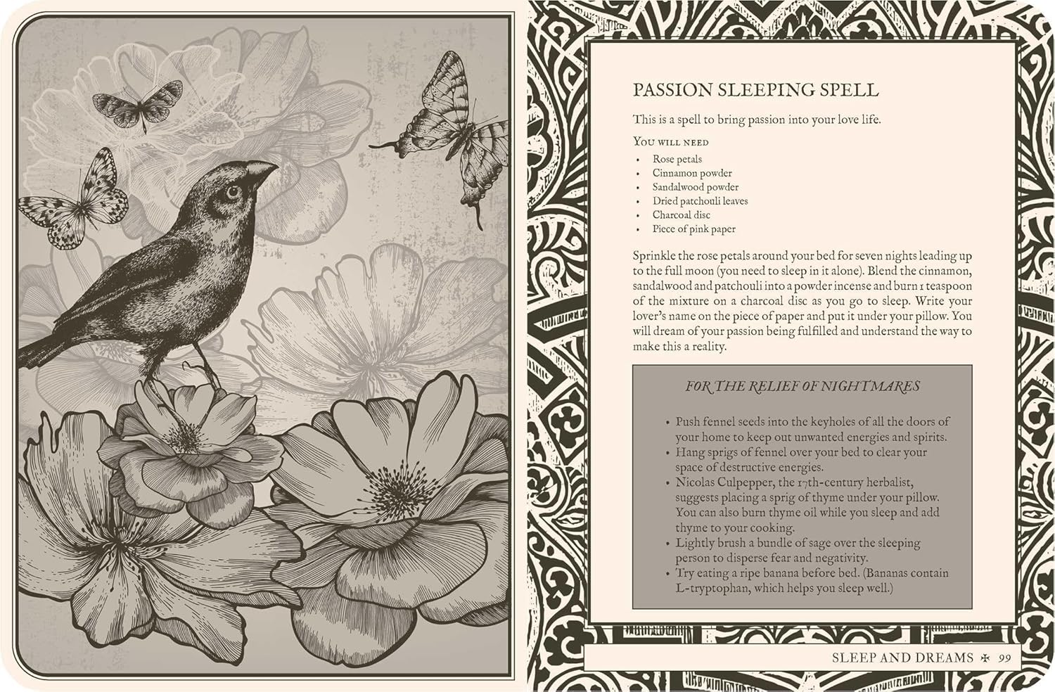 Magical spellbook page with a bird, flowers, and butterflies on a decorative border.