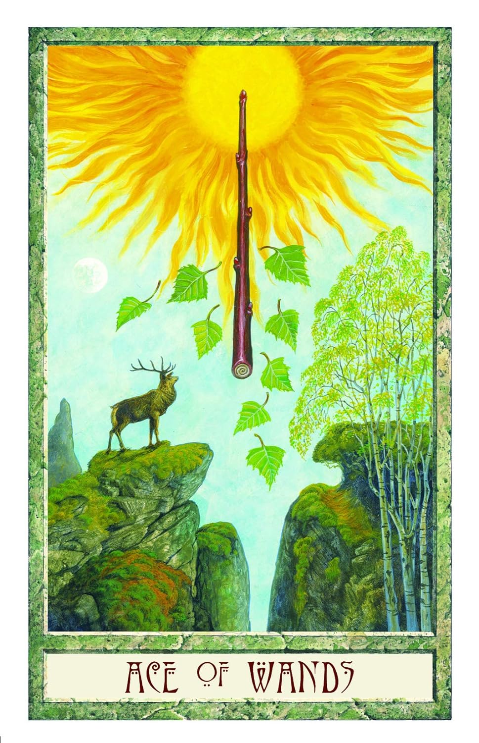 The Druid Craft Tarot Deck