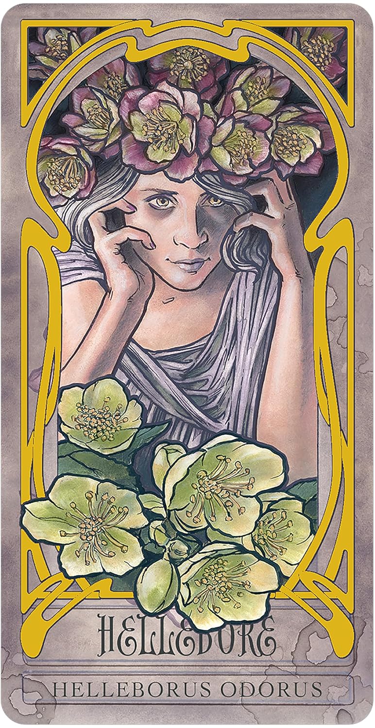 Artistic depiction of a woman with flowers in her hair and around her, with decorative border and text.