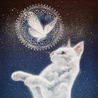 White cat looking at a mandala with a butterfly on a starry night background