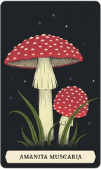 Secret Oracle of The Green Witch 